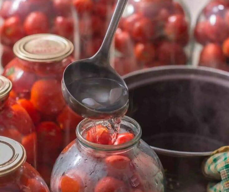 food Processing